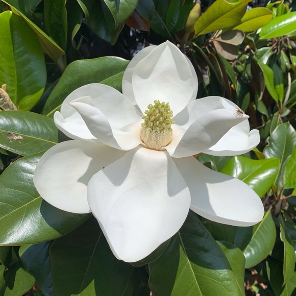 🪺Welcome to my closet🪺 - Picture 8 of 15